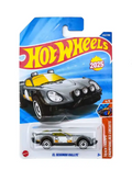 Hot Wheels El Segundo Rallye 2025 – Track Champs #242/250 sealed blister card