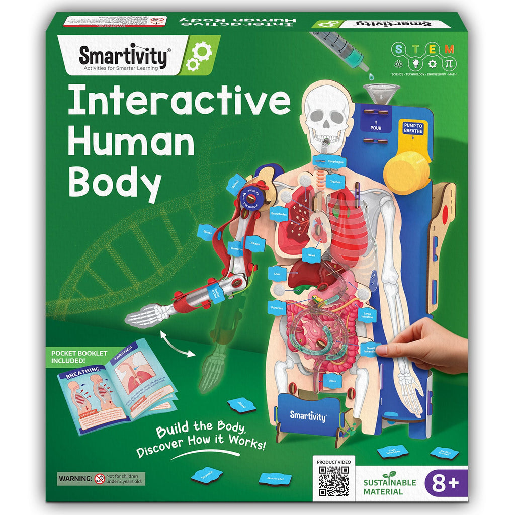 Smartivity Interactive Human Body – DIY Model – product image 1