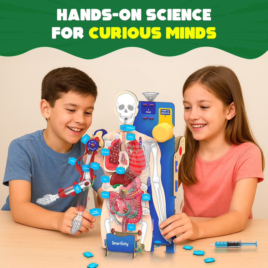 Smartivity Interactive Human Body – DIY Model – product image 2